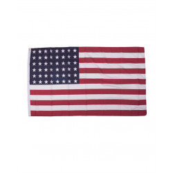 NEU Flagge USA 48 Sterne...